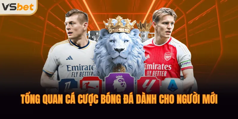 Tổng quan cá cược bóng đá dành cho người mới