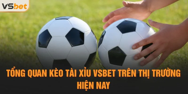 Tổng quan kèo tài xỉu Vsbet trên thị trường hiện nay